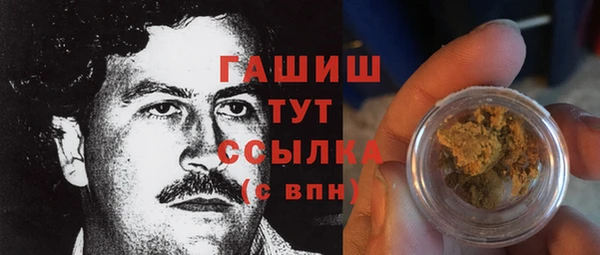 метадон Каменка