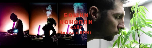 мдпв Каменногорск