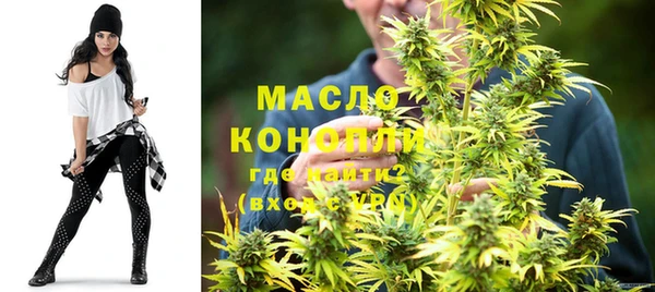 мдпв Каменногорск
