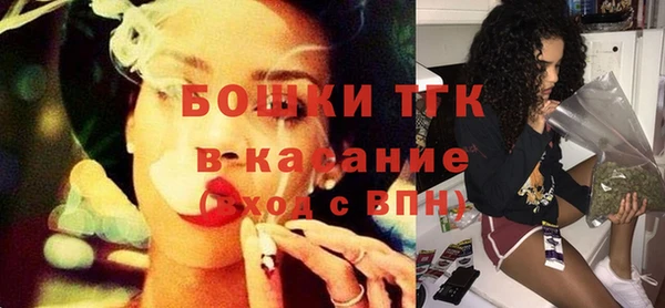 мдпв Каменногорск