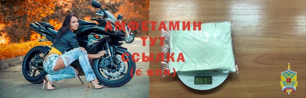 мдпв Каменногорск